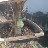 photo 2019-02-11 07-56-50