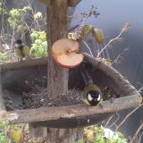 photo 2019-12-05 13-28-21