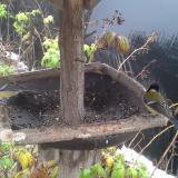 photo 2019-12-02 09-47-29