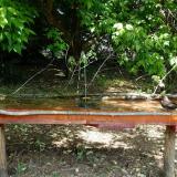 photo 2021-05-15 10-48-08