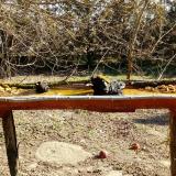 photo 2021-03-13 09-26-51