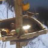 photo 2019-01-27 10-06-02