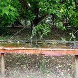 photo 2021-05-25 11-54-55