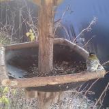 photo 2019-12-29 11-53-20