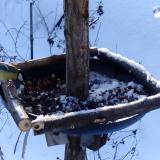 photo 2019-01-09 09-13-43