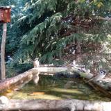 photo 2023-10-12 10-13-10