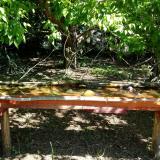 photo 2021-05-10 10-27-17