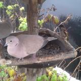 photo 2019-12-02 09-57-45