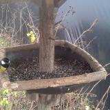 photo 2019-12-25 13-27-06