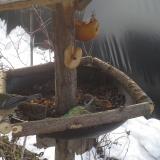 photo 2019-01-31 09-17-27