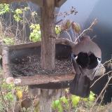 photo 2019-12-12 11-23-15