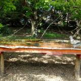 photo 2021-04-30 13-16-59