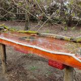 photo 2021-04-01 16-46-53