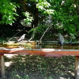 photo 2021-05-21 09-11-53