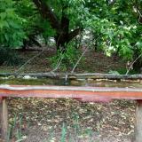 photo 2021-05-31 12-19-33