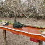 photo 2021-03-16 15-50-04