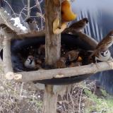 photo 2019-02-02 11-15-05