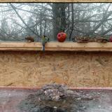 photo 2022-01-16 10-14-19