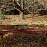 photo 2021-10-26 14-39-12