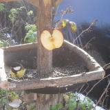 photo 2019-12-03 10-11-19