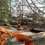 photo 2022-03-19 08-44-49