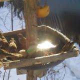 photo 2019-01-27 10-10-15