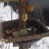 photo 2019-01-27 11-50-06