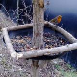 photo 2019-01-03 07-54-12