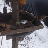 photo 2019-01-27 11-33-55