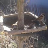 photo 2019-03-05 09-53-11