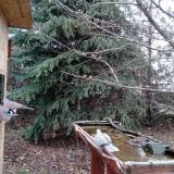 photo 2021-12-11 12-39-59