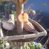 photo 2019-12-03 14-02-08