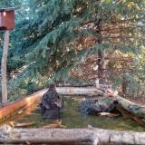 photo 2023-10-14 08-03-06