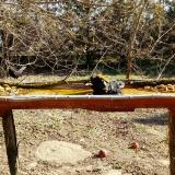 photo 2021-03-13 09-25-51