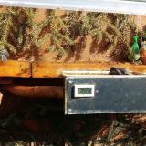 photo 2021-02-18 12-20-19