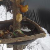 photo 2019-01-27 12-48-33