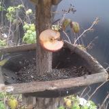 photo 2019-12-05 13-16-14