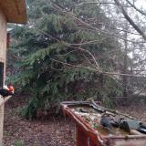 photo 2021-12-16 08-23-42