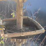 photo 2019-12-27 11-59-15