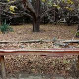 photo 2021-10-21 14-10-50