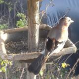 photo 2019-12-17 14-18-05