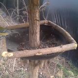 photo 2019-03-07 16-07-28