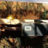 photo 2021-02-04 14-39-52