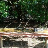 photo 2021-09-12 09-16-19