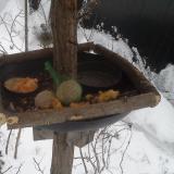 photo 2019-01-23 07-37-35