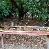 photo 2021-09-20 13-49-42