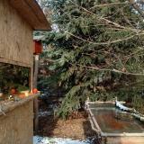 photo 2022-01-09 13-08-29