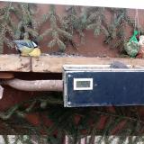 photo 2021-02-07 14-29-52