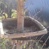 photo 2019-12-20 10-49-55