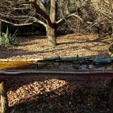 photo 2021-10-29 15-35-24